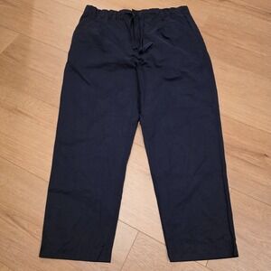 Alex Mill Pants Mens XL Navy Blue Button Fly Elastic Waist Chino Pleated EUC